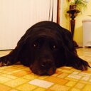 Nan Moran - @MollyNanmoran - Twitter