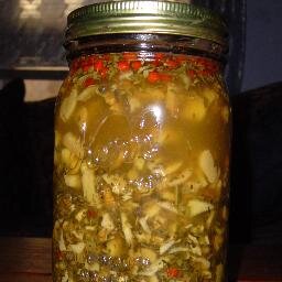 Fire_Cider's profile picture. I am a delicious traditional tonic; make me at home & TRADE health food store MARK ups for true health freedom. FUCK SHIRE CITY HERBALS.