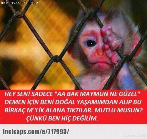 Bir gün o yanından geçer ve anlarsın ki içinde ona karşı bir ukte kalmamış ..