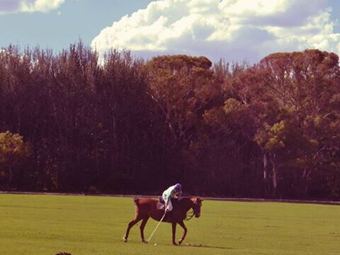 eavonmal's profile picture. 