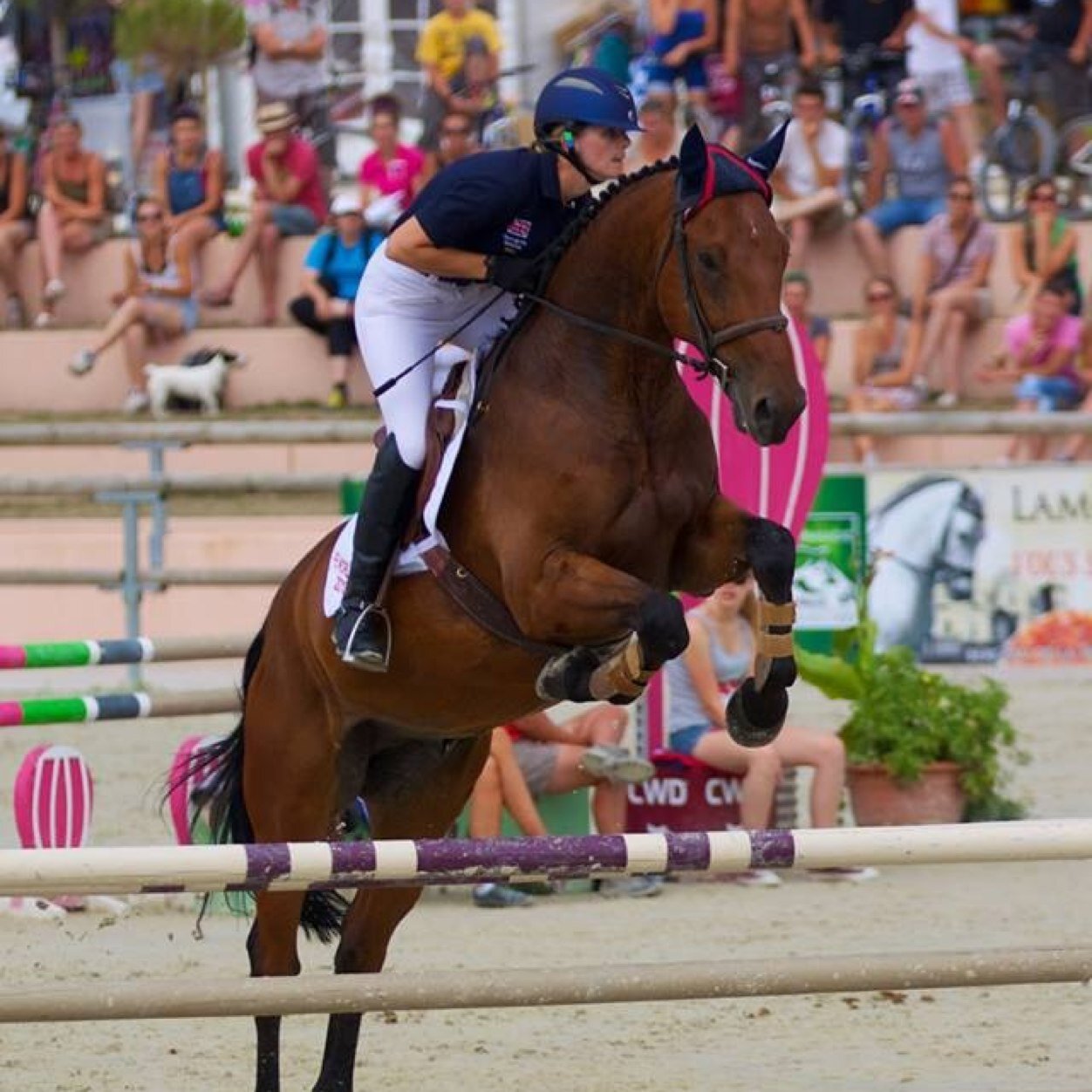 Live, love, laugh and RIDE!! Love horses, especially eventing. Spend as much time as I can in the saddle.
