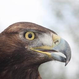 sebach2415's profile picture. EN ARMONÍA CON LA NATURALEZA