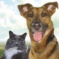 Free Local Delivery of holistic pet food (Blue Ridge Beef, Orijen, Fromm + more) in the Birmingham area