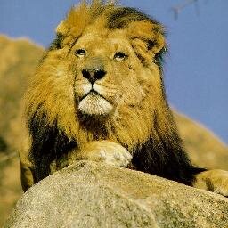 elertrik60's profile picture. 