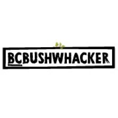 From the Cutblock to the Corner Office. The BCWSI has created BC Bushwhacker to improve recruitment and retention in the silviculture industry. Have your say.