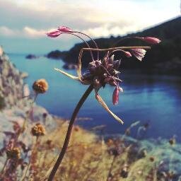 livingsystemsuk Profile Picture
