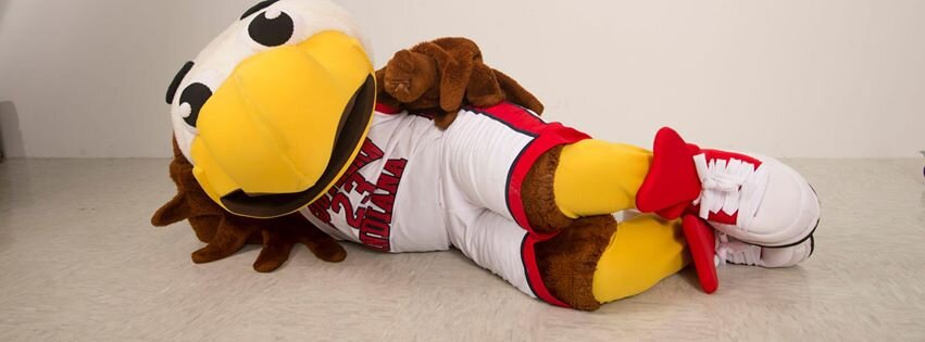 ScreaglePerch's profile picture. USI Athletics; Men's and Women's basketball. Come out and support the Screaming Eagles as the regular season comes to an end