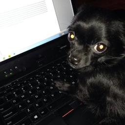 momashead's profile picture. 