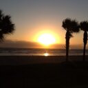 Marion Hernandez - @Callitazicit - Twitter