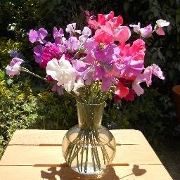 Flower grower