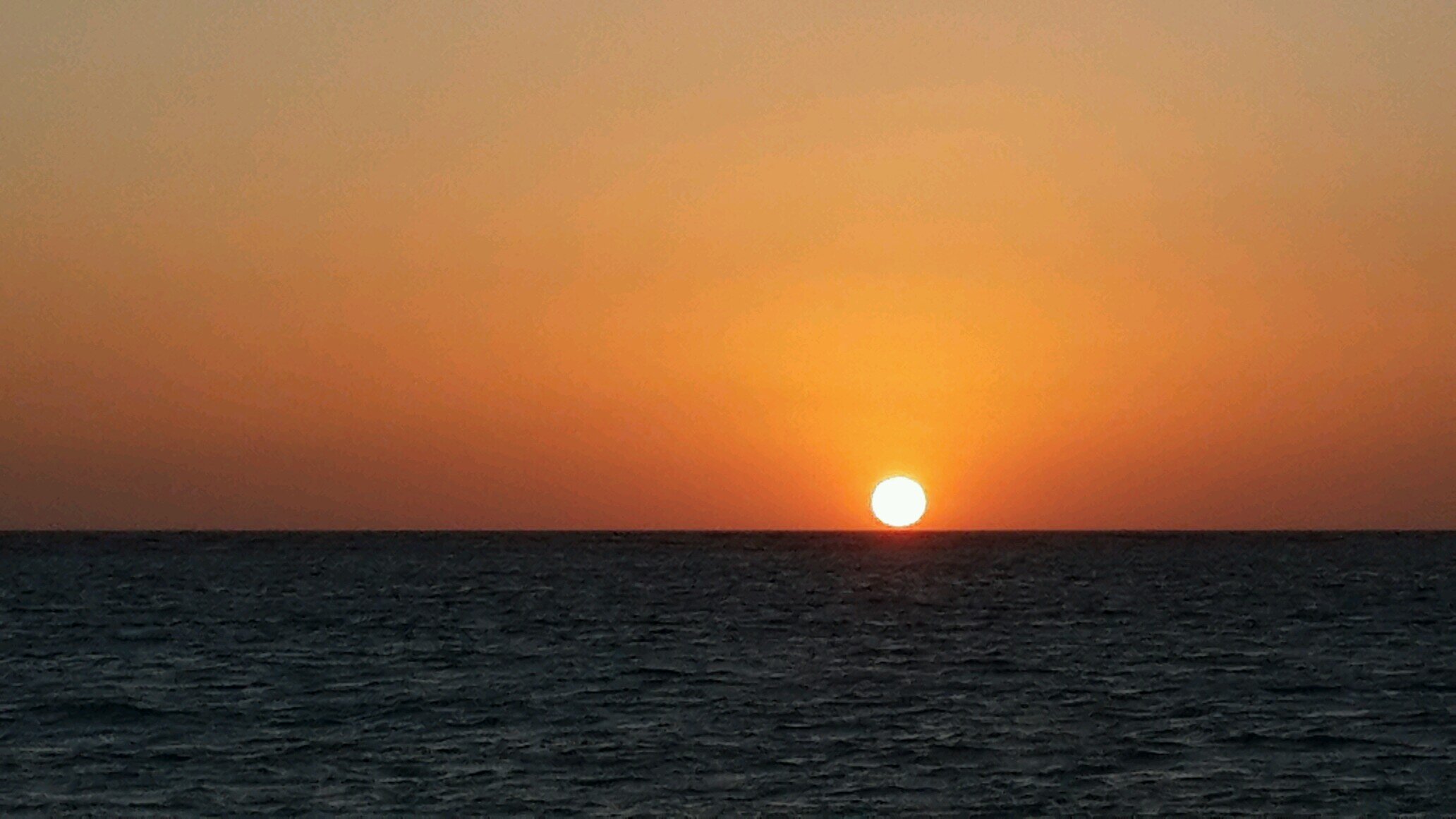 HatamlehSomaya's profile picture. 