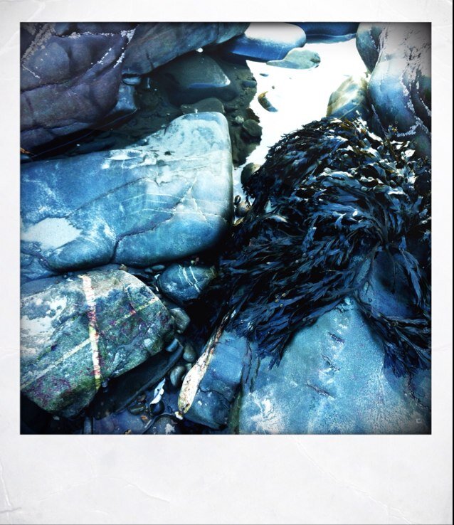 Cowley1Helen's profile picture. 