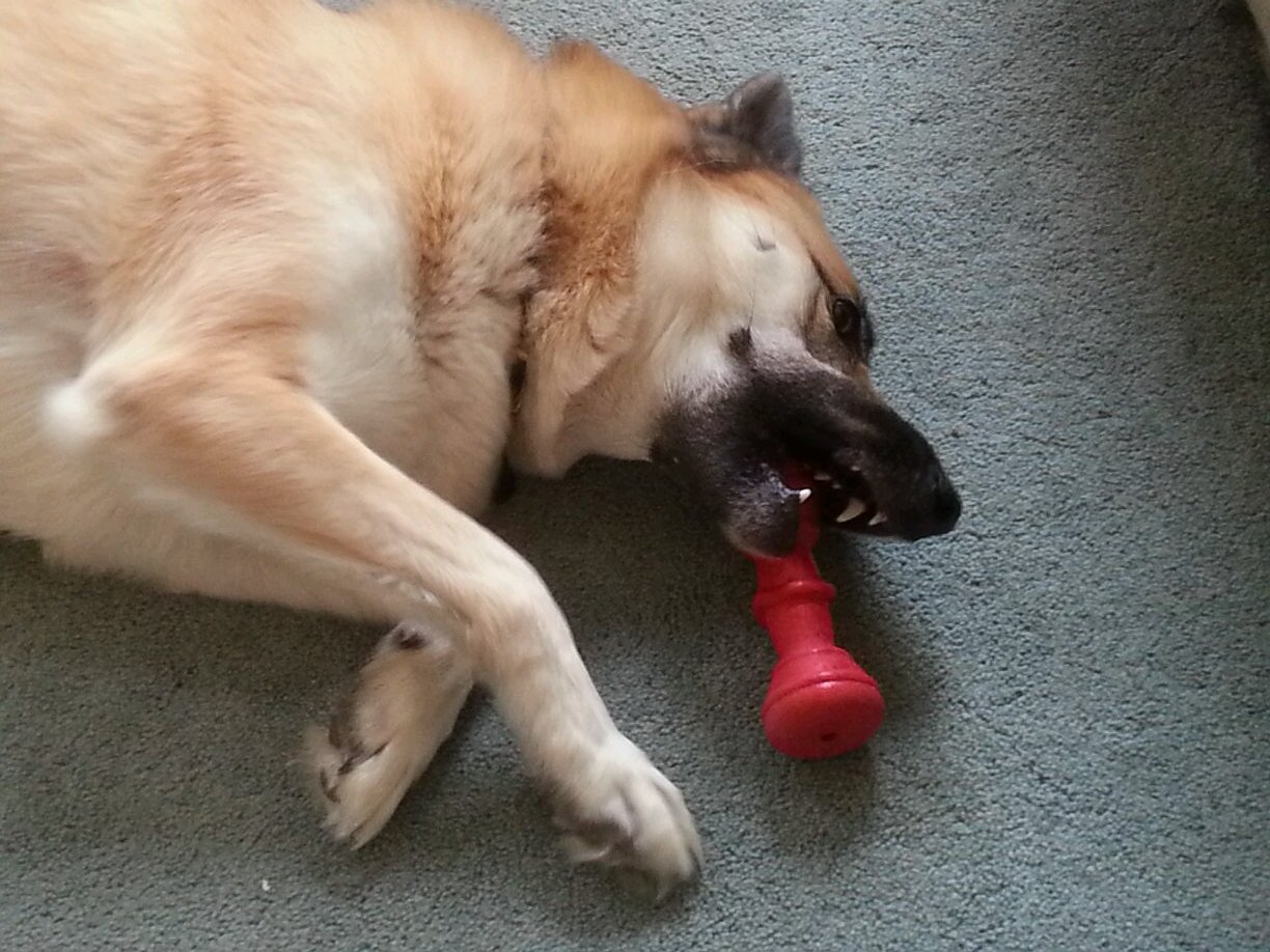 HeimJuliette's profile picture. Time Traveler