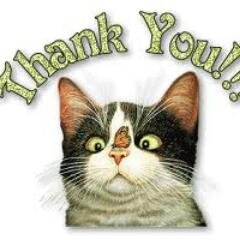 SandraG96514213's profile picture. 