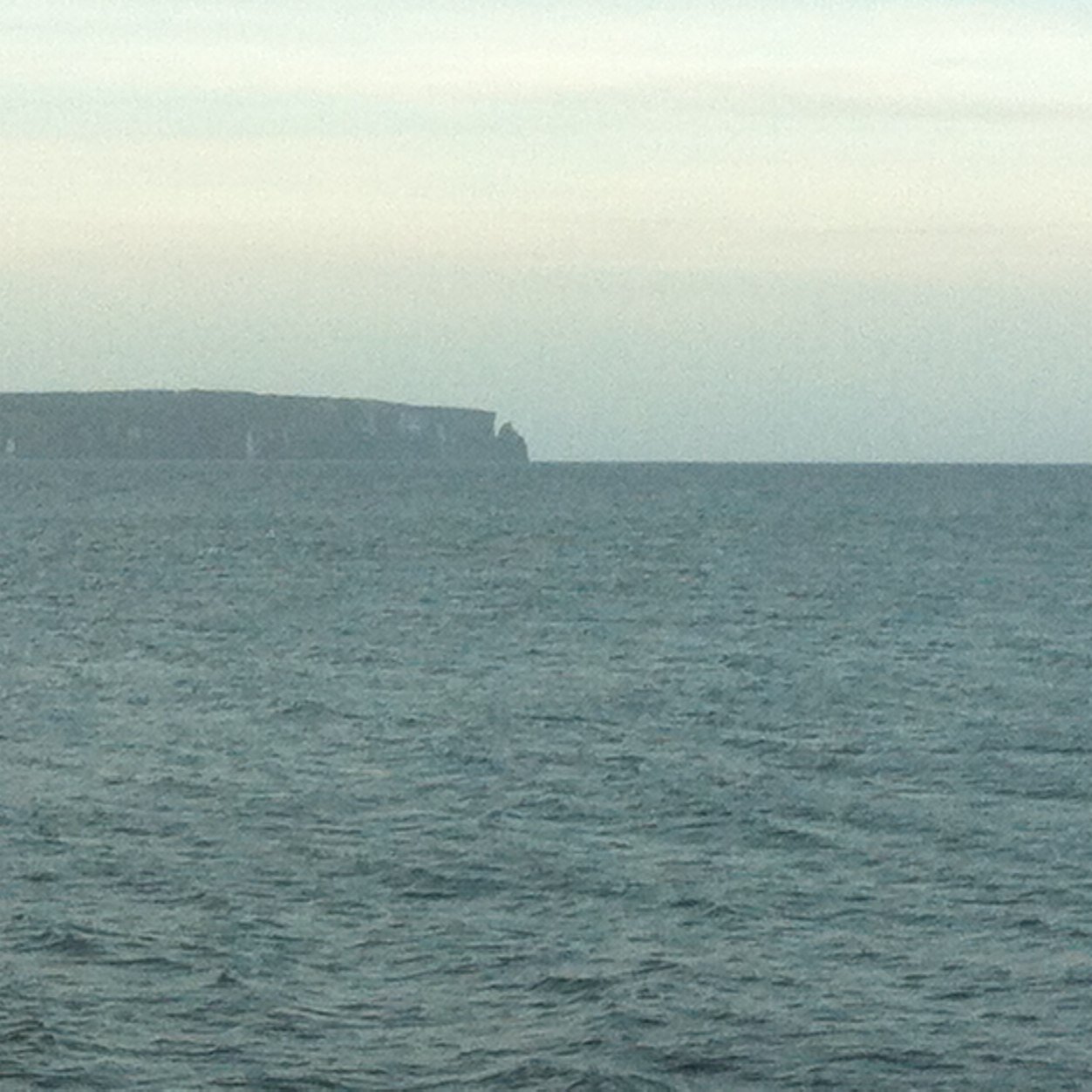 kingwilsonjack's profile picture. 