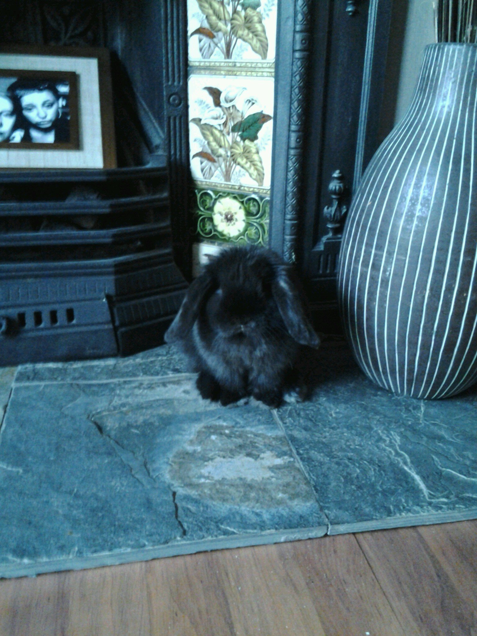 Mum of 2