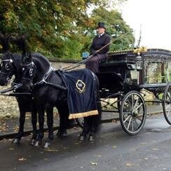 Our horses are fit and well trained and are used regularly for commercial work. Our hearses are of an elegant style and of the highest standard for any funeral.