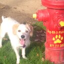 Veronica Solorio - @vsoloriomd - Twitter