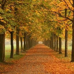 DavidFranks56's profile picture. Institute of Carpenters member City & Guilds distinction, joinery, shelves, cabinets, gardens, bespoke, clean friendly local
Zero carbon, green, grants,