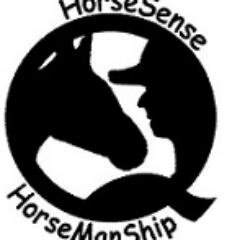 Experienced trainer, teacher and clinician. Internationally known, gaited horse specialist. Teaching for people with special needs. saddles and tack for sale.