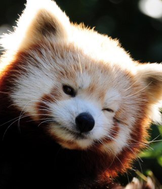 Irina_Bait's profile picture. 