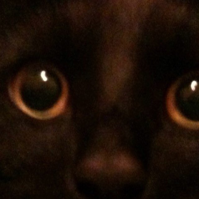 loup153's profile picture. 