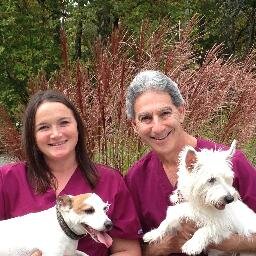 At Holistic Pet Care we focus on keeping your pet Healthy and trying to correct weakness and imbalances in the body before they develop into diseases.