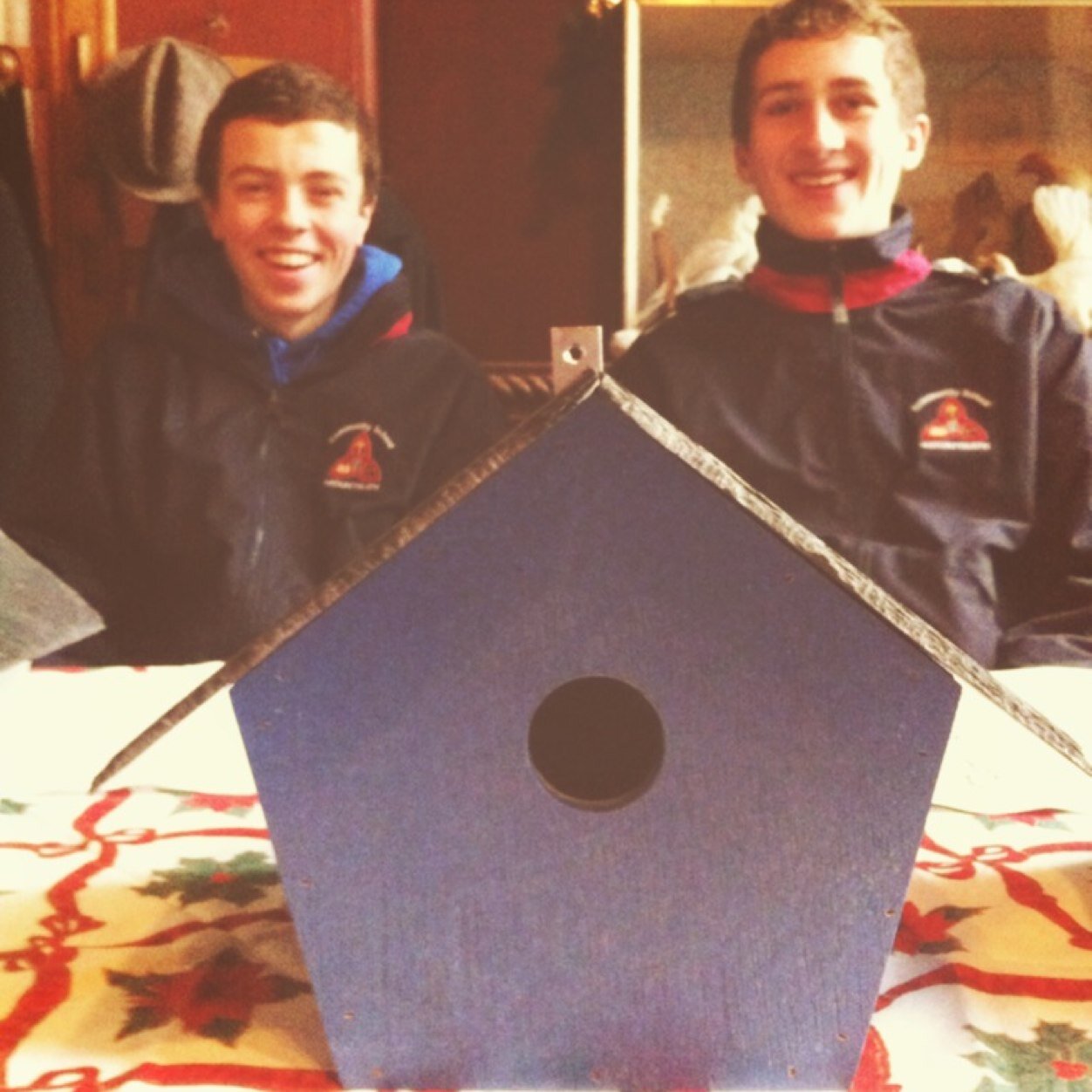 We are a T.Y. Minicompany which handmakes hardwearing birdhouses in the heart of laois...   Oh yeah. And yes we do follow back