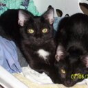 SARAH MEECE-WININGER - @meecesarah - Twitter