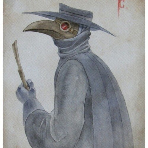 VRBambulance's profile picture. Angry Fossa emergency in Spb