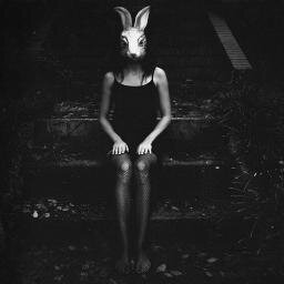 Follow the White Rabbit