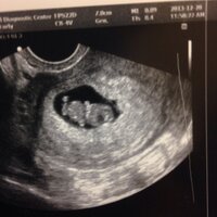 Stacylynn Kramp (@stacykidd) 's Twitter Profile