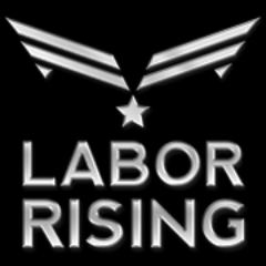 Research, Training, Tools, and Actionable Strategy for Building Trades Organizers.