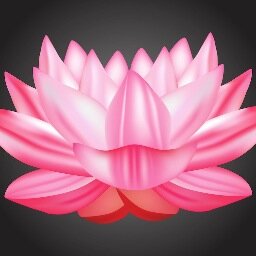 Waterlily Boutique LLC
Kailua Kona, Hawaii Private showing and online boutique.