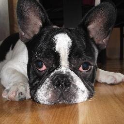 javijavi85's profile picture. 