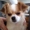 John chesbrough - @gmc2500hd12 - Twitter