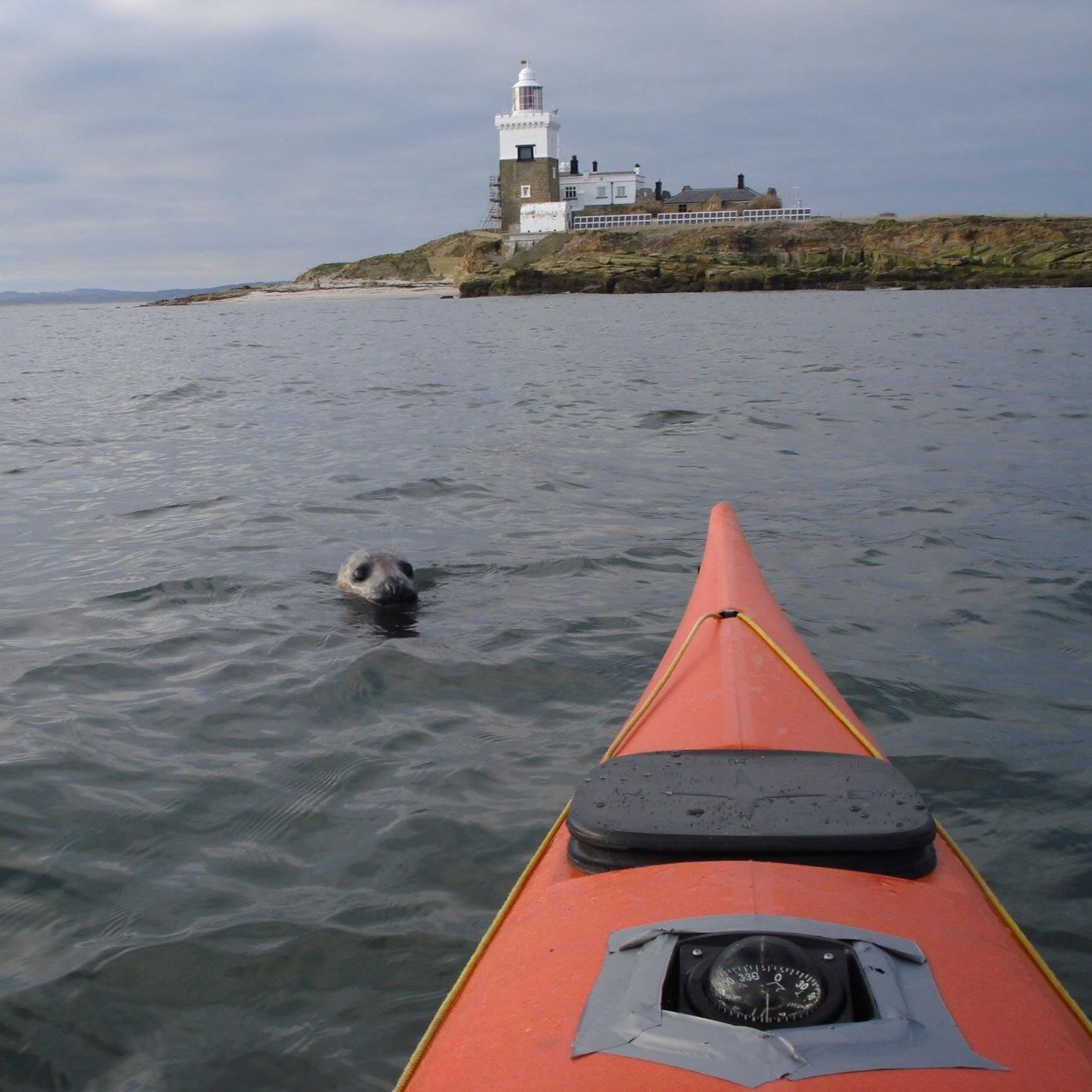 A watersport charity, offering affordable training and fun for all ages/abilities. Learn to canoe, sail or windsurf on our courses, then join one of our clubs