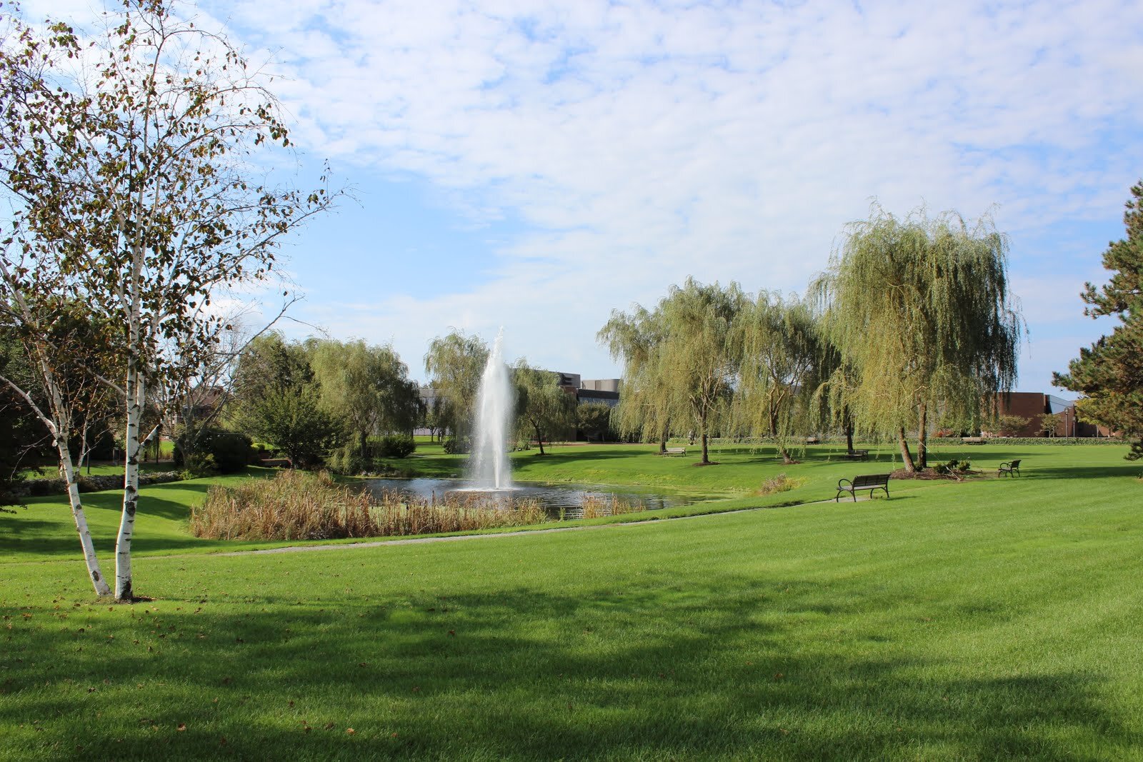 Inter-Fraternal Council at Bryant University