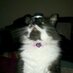 Sam Doggett (@s_j_dog) Twitter profile photo