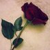 منى★ (@_4763596841092) Twitter profile photo منى★ (@_4763596841092) Twitter profile photo