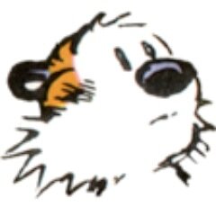 dudi's profile picture. professional procrastinator, PhD student, rock climber, music listener, basket case