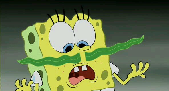 fydlmodl's profile picture. 