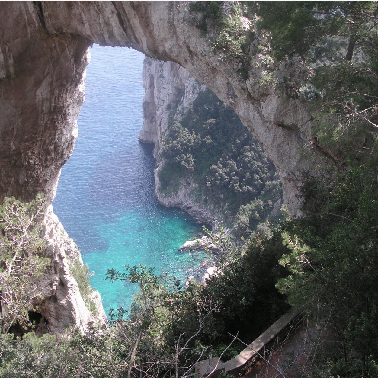 GeographyPHS's profile picture. 