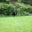 Harvey Pond - @harveycpond - Twitter