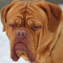 Please follow new twitter addy @2TheImp and new site:
http://t.co/TQfTR2RhPp