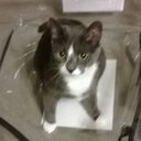 Lori Kunkle - @kunkle_lori - Twitter