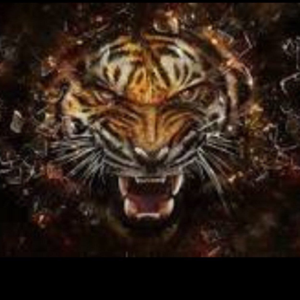 markusfors1's profile picture. if you like that you see so follow me plz;) i am singing and dancing . keep calm and follow me