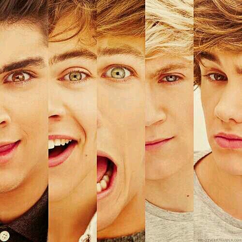 I love 1D they are just so cute I love them all their amazing and I love justin bieber he's amazing too and he's so cute. I am a directioner & belieber x