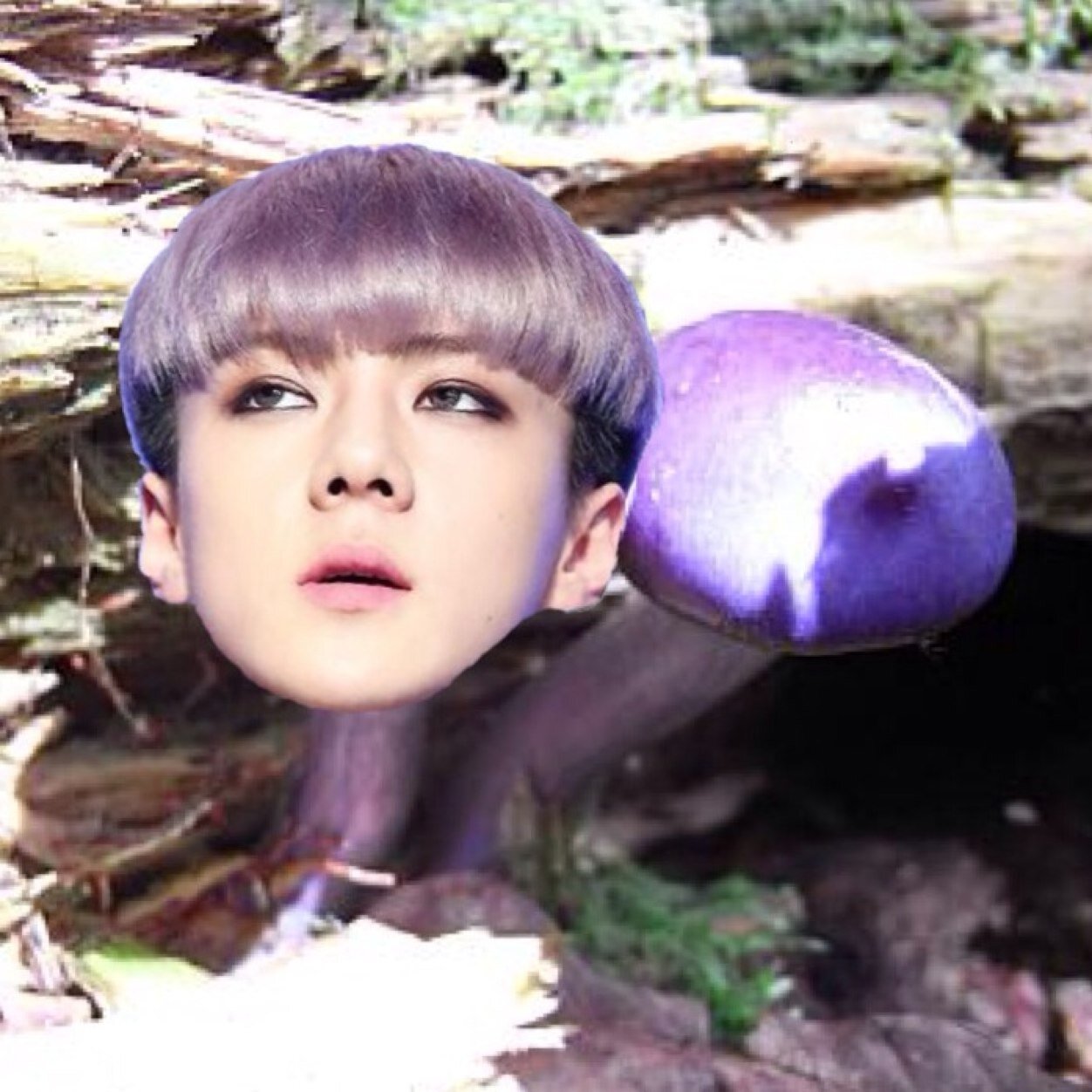 「 사랑해요 영원히 」 Happy Day ➳ ❥ 4/11,12
