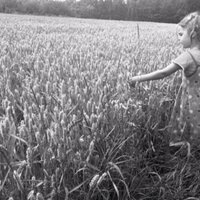 Katrin Engelhardt (@kreiselk) 's Twitter Profile Photo